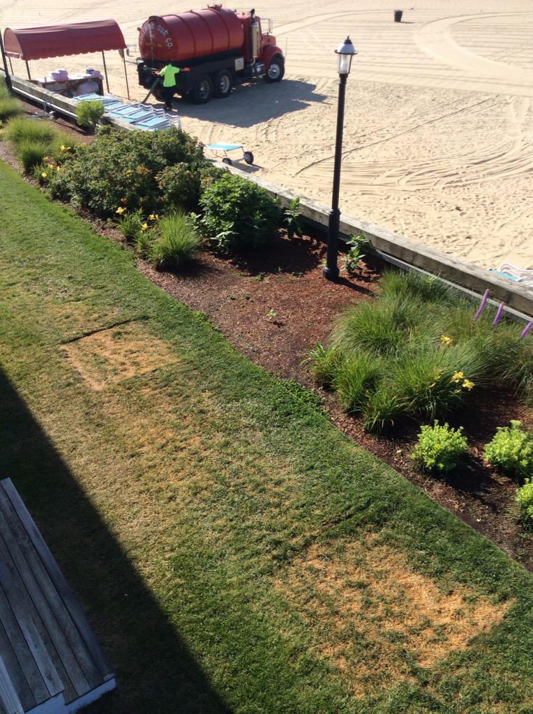 Dfreedman's tweet image. @rjresorts my guess is that we will have a fun day of this #emptyapologies #whynow