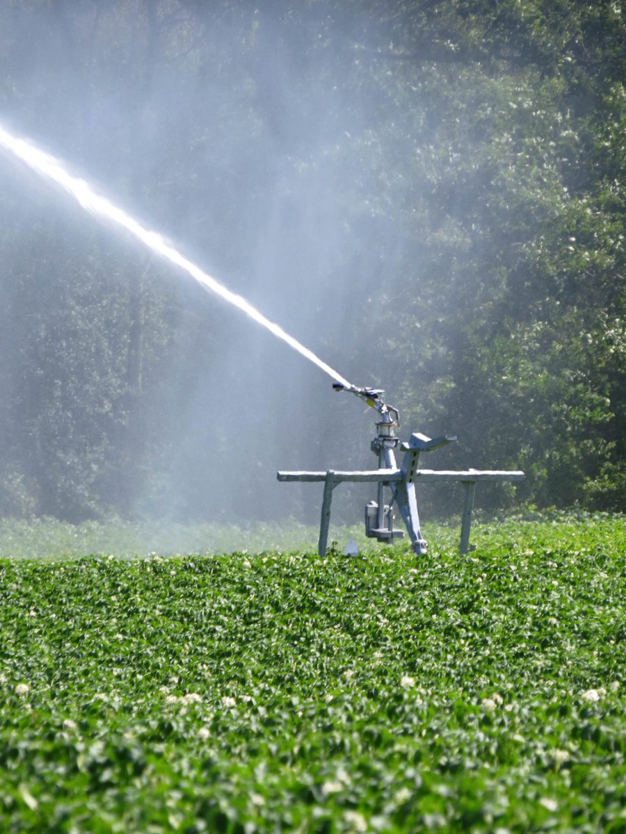 What looks like a sprinkler, but is doing far more than watering the grass? ow.ly/Q28tP #FarmFactFriday
