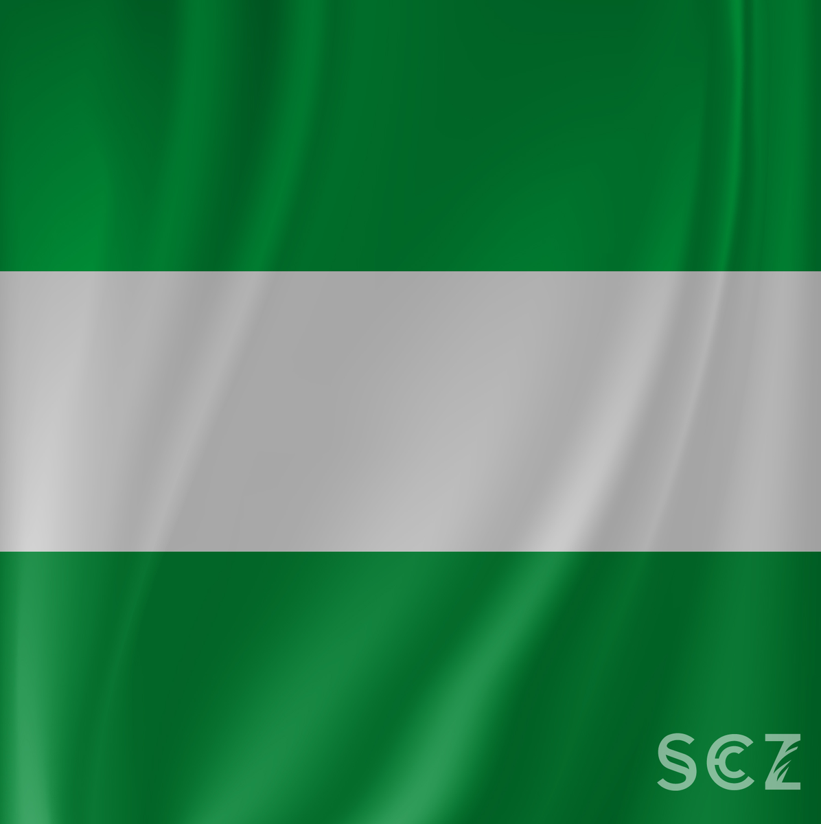 Bandera De Santa Cruz De La Sierra