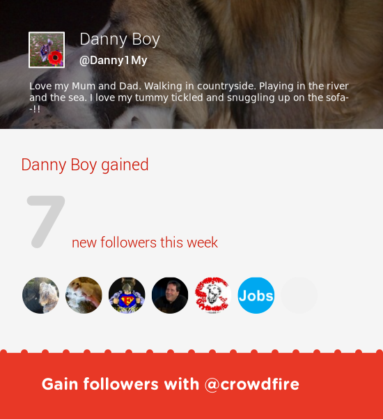 Danny1My's tweet photo. Fab tweeps @veterantraveler @dorothydurga @fiestyfrenchies &amp; more followed me. Grow with http://t.co/PZtSOvORMY http://t.co/xFkAVwILWf