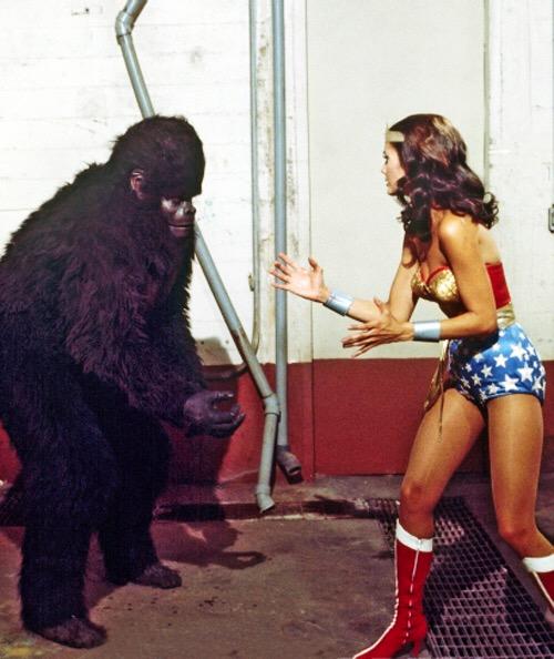 Happy birthday and gorilla hugs to Lynda Carter! 