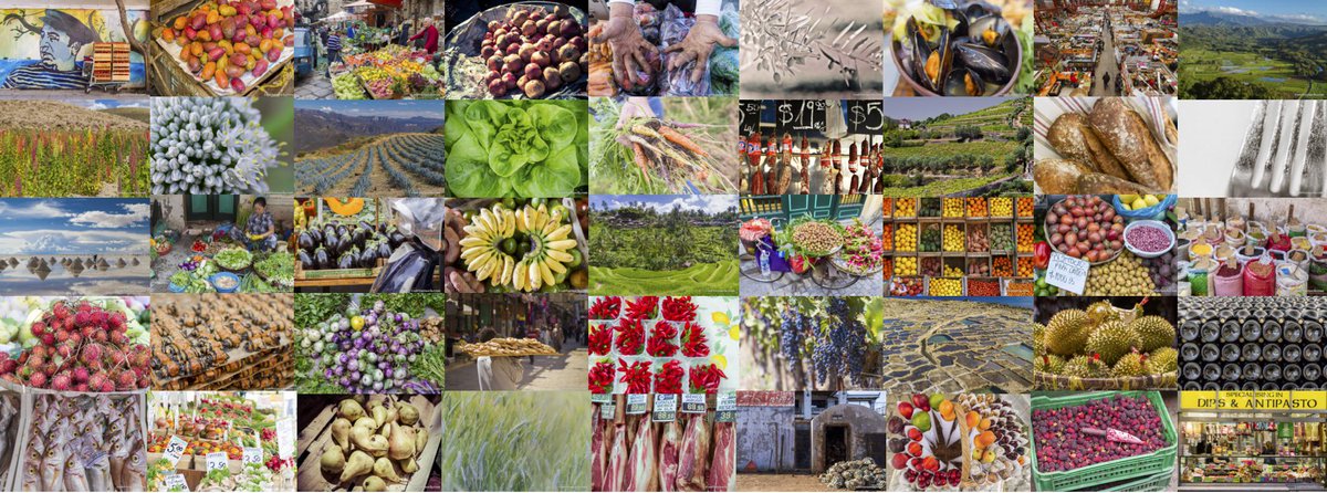 vonderrusch tweet media