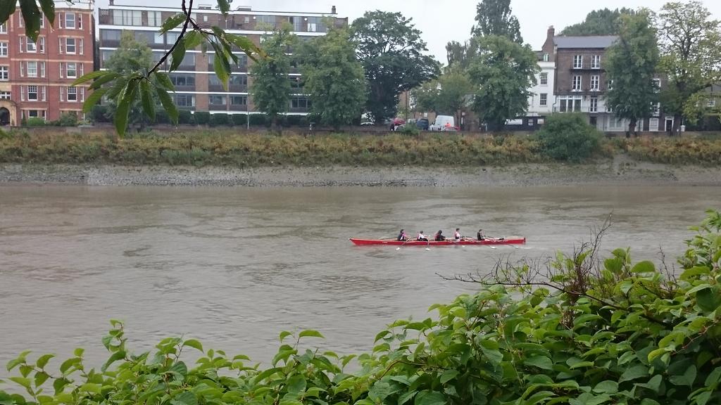 The rain couldnt stop us! Great racing all round and nice BBQ to finish off! <a href="/LYRowing/">London Youth Rowing</a> #LYRSummer15