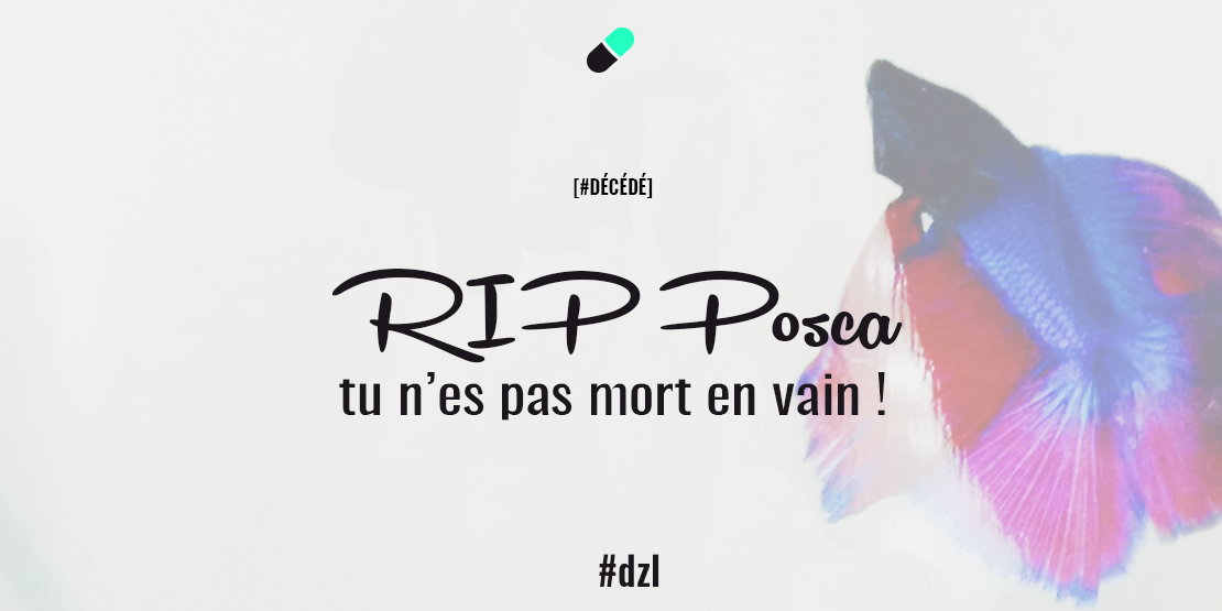 Di_crea's tweet photo. [#DÉCÉDÉ] RIP Posca, tu n'es pas mort en vain ! #membre #césure #minute #silence #dzl #competIESAmmd http://t.co/xFS4PsC2eY