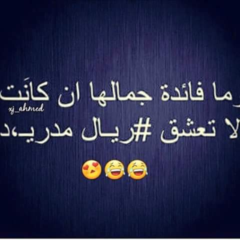 chichi el khaloui rohi 9olilo