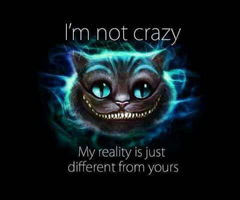 Maceyjane123's tweet photo. I just wanna sleep all day and dream about one direction and 5sos http://t.co/lwd5W2zHN8