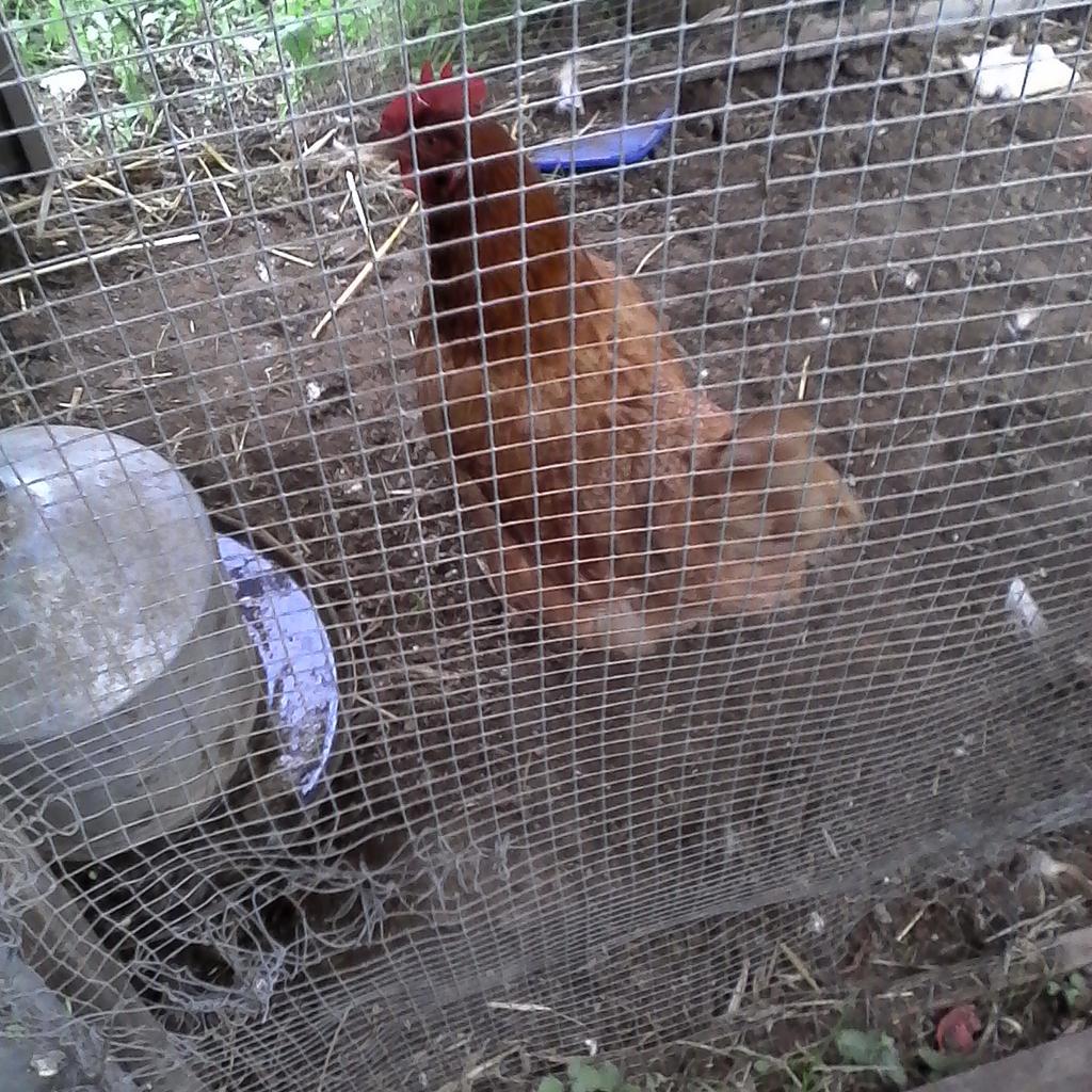 StackKenton's tweet image. 