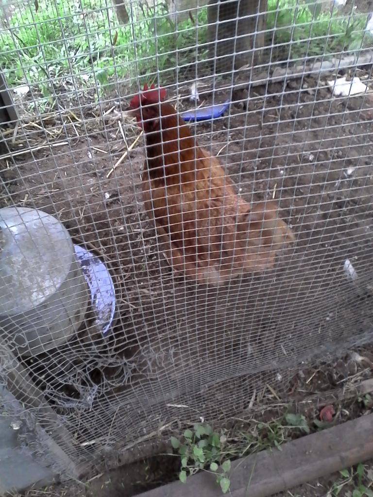 StackKenton's tweet image. 