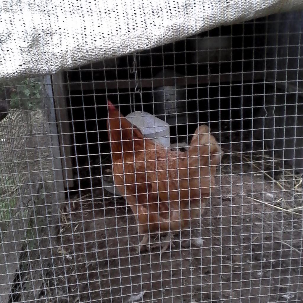 StackKenton's tweet image. 