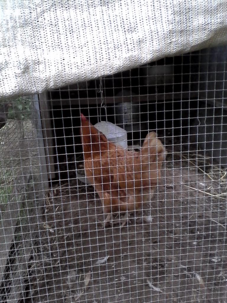 StackKenton's tweet image. 