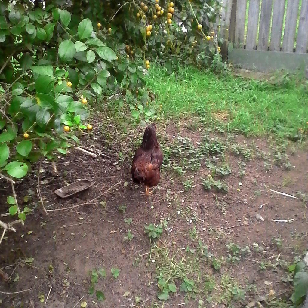 StackKenton's tweet image. 