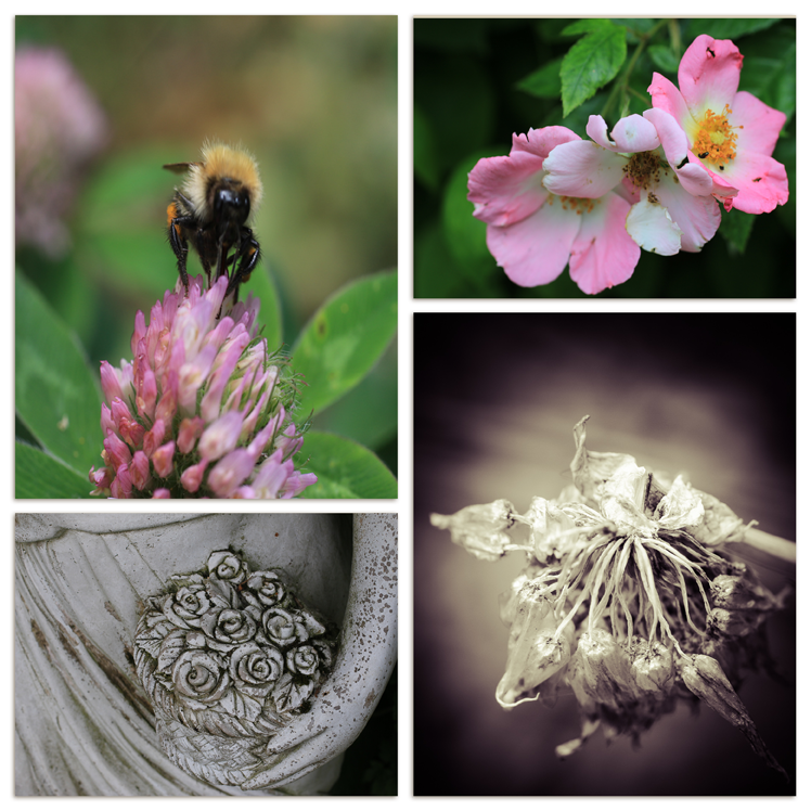 MissEllieDee's tweet photo. Joining in with @WSmostlywriting for This Week {words and pictures} #thisweek… http://t.co/241p2bmig0 http://t.co/PoTpZ9w7t2
