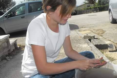 MuseoArcheoSA's tweet image. "Sono un archeologo e ..." #dayofarch #archeologia #salerno facebook.com/MuseoArcheolog…