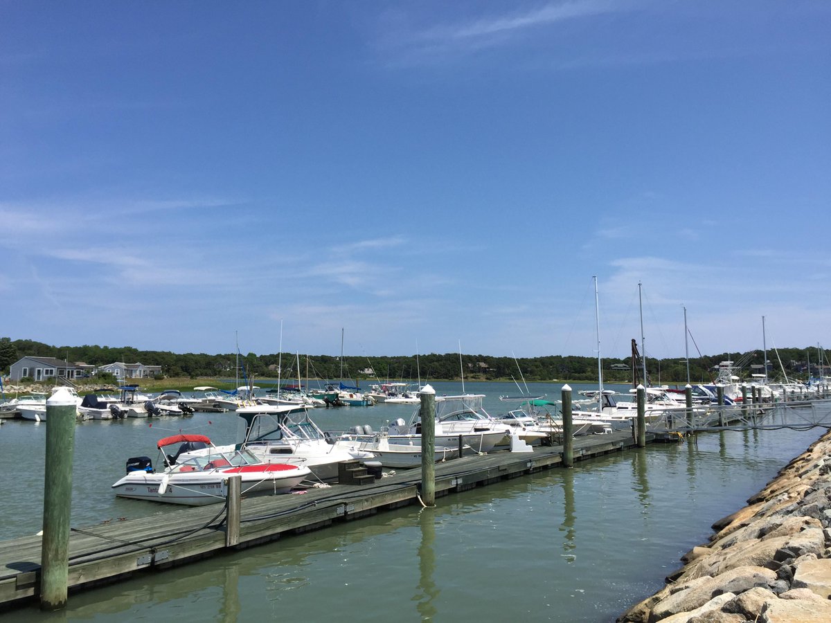 wellfleetpearl's tweet photo. Another beautiful day in Wellfleet http://t.co/z5SdauQRFb
