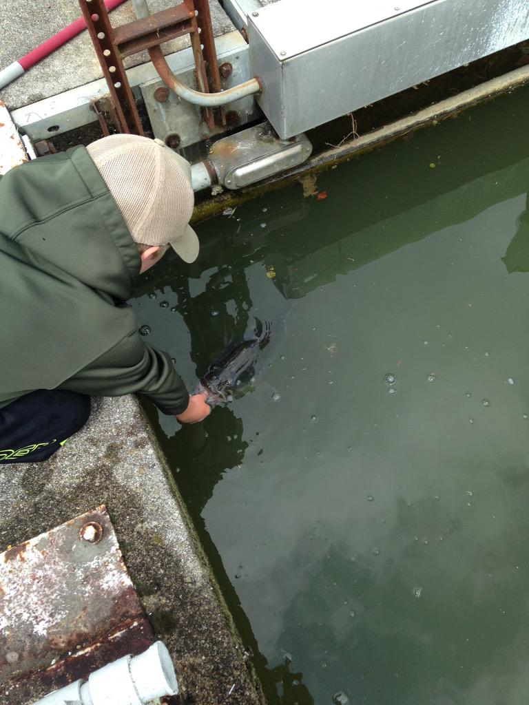 jeff shaw tweet media