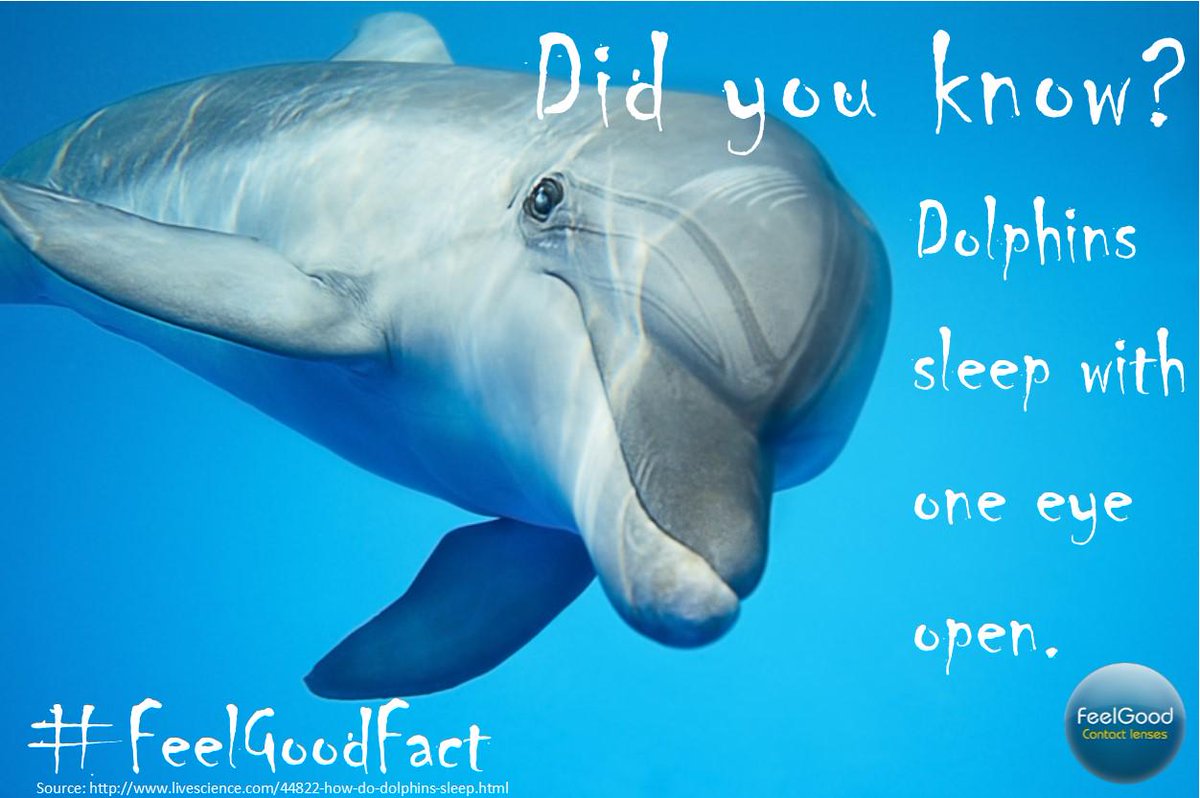 FeelGoodContact's tweet photo. All this rain's inspired us to post a watery #FeelGoodFact (But remember NEVER mix your contacts and h2O!) http://t.co/h4AYXlqHO2