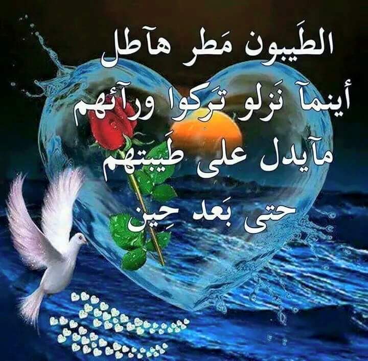 4924340f49784e1's tweet photo. @Bint_ElBalad http://t.co/ksCgx3QVNe