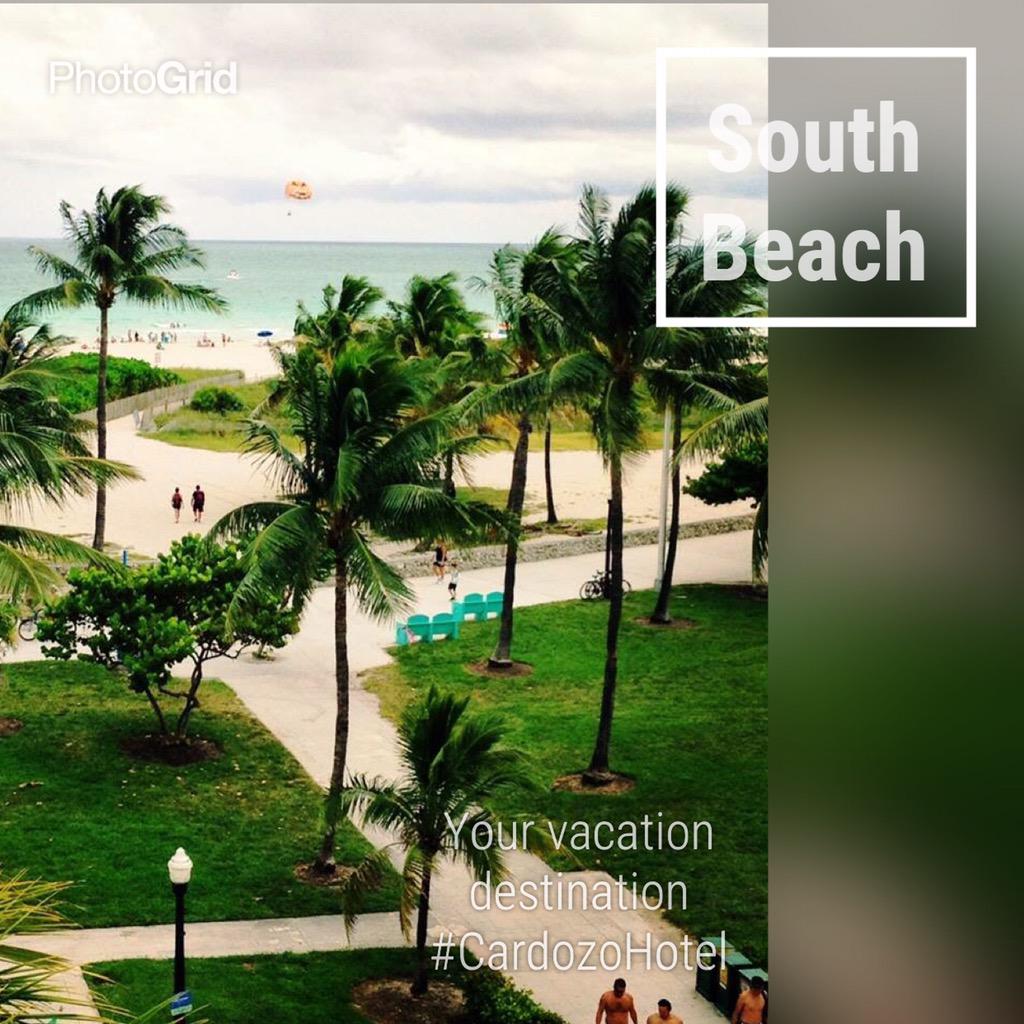 CardozoHotel's tweet photo. #HappyFriday ☀️🌴 #SouthBeach #vacation http://t.co/gC8FSvU0S3