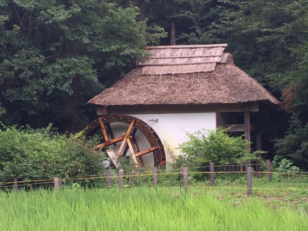 Maro のんのんびより舞台探訪 聖地巡礼 千葉県南房総市岩井 吉井の大井戸 Http T Co Jdvheasvxv