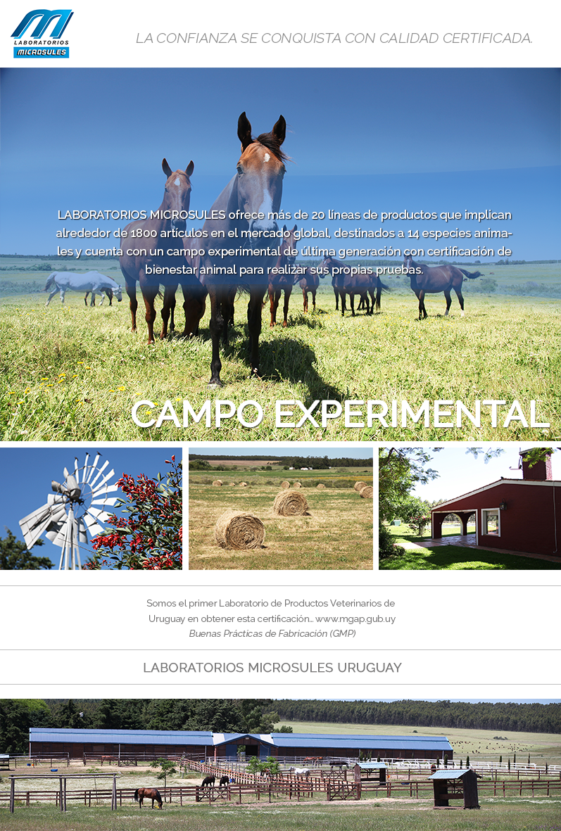 LMicrosules's tweet photo. CAMPO EXPERIMENTAL
Ofrecemos más de 20 líneas de productos que implican alrededor de 1800 artículos en el mercado. http://t.co/sVNaVLzSTn