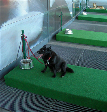 PetsforPatriots's tweet photo. Love it: IKEA "barking lot" keeps #dogs from overheating in cars while their parents shop http://t.co/iGVzZ70EV9 http://t.co/5HDXPqw1b6