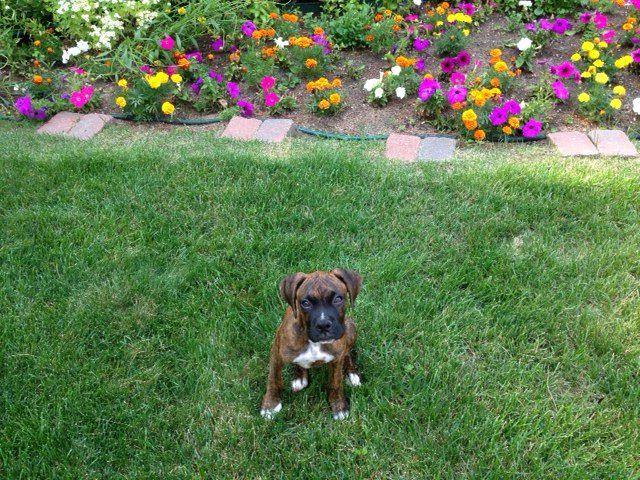 A warm welcome to our newest officemate Nesto!