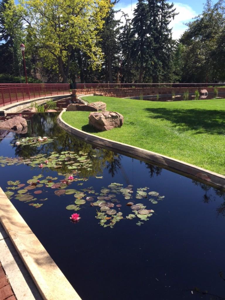 UofDenver's tweet image. Our campus is truly beautiful.