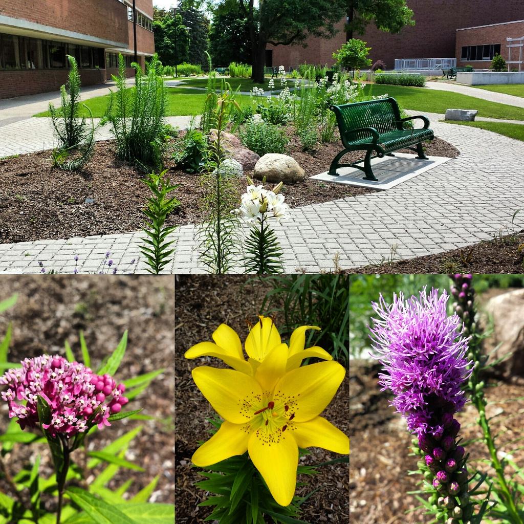 ArtsEnvGarden's tweet image. Come and de-stress at the #artsenvgarden Tour and Clean Up Event Tues July 28 btwn 9&amp;amp;3pm! Freezies will be provided!