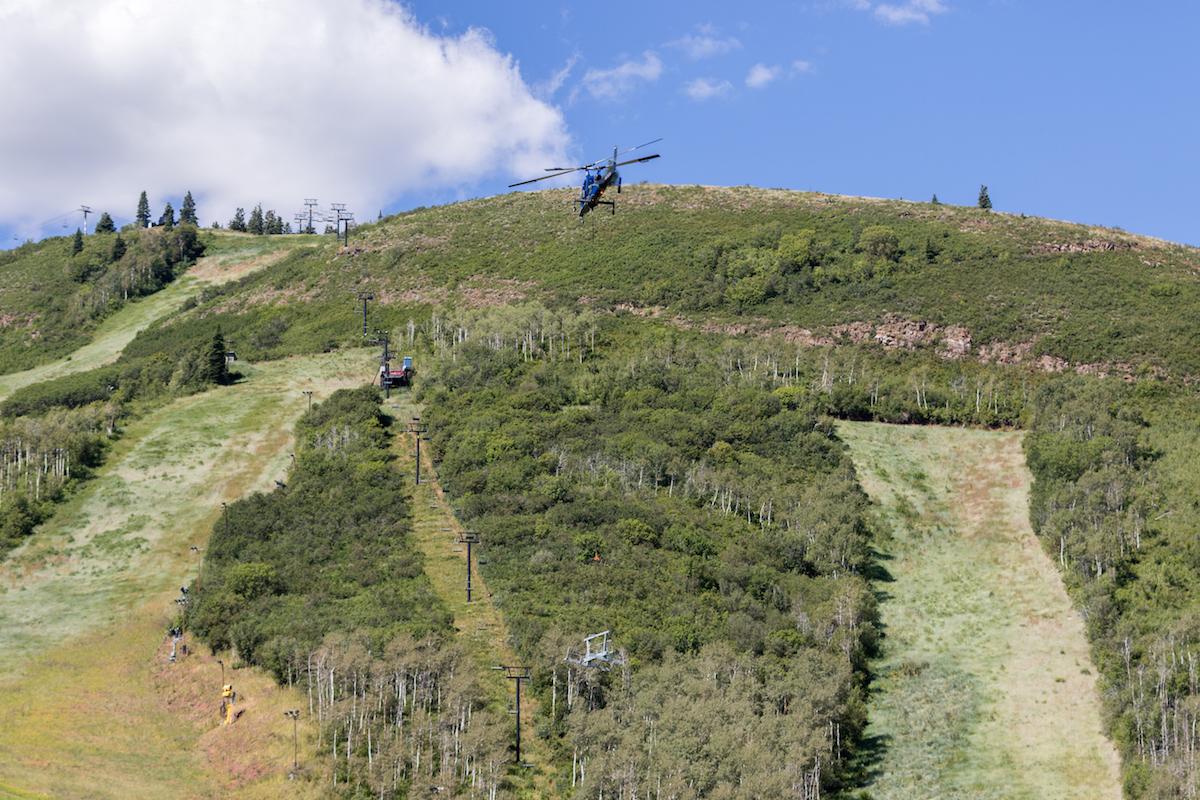 Bill Rock tweet media