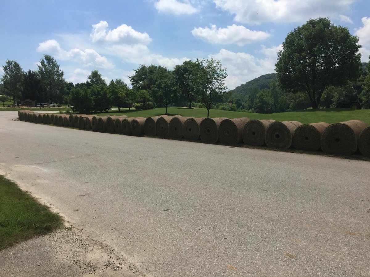 ccofstalbans's tweet photo. Grassing the Tavern Creek #13 green bunkers today! #Progress #NewBunkers #NowhereElse @BillatStAlbans http://t.co/AuGyu6685L