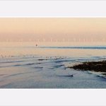 Photo by WhitstableTweet (@WhitstableTweet)