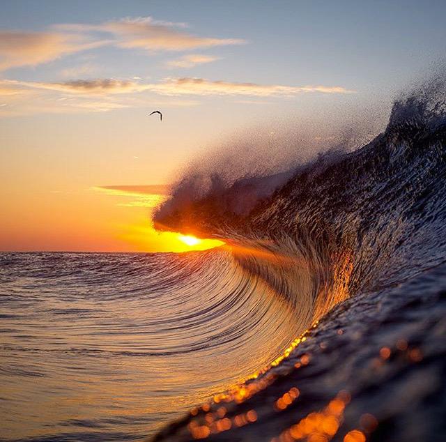 Happy Bday Mr Andy Irons. 