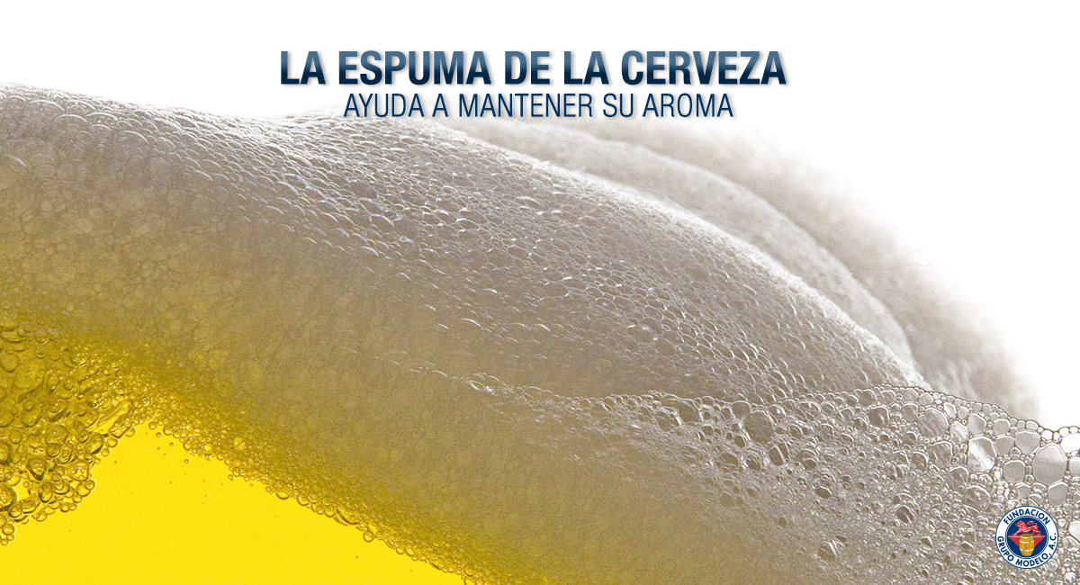 ConsumidorModel's tweet image. #DatoModelo La espuma mantiene el aroma de la cerveza, por eso se recomienda beberla en vaso. #ConsmumoResponsable