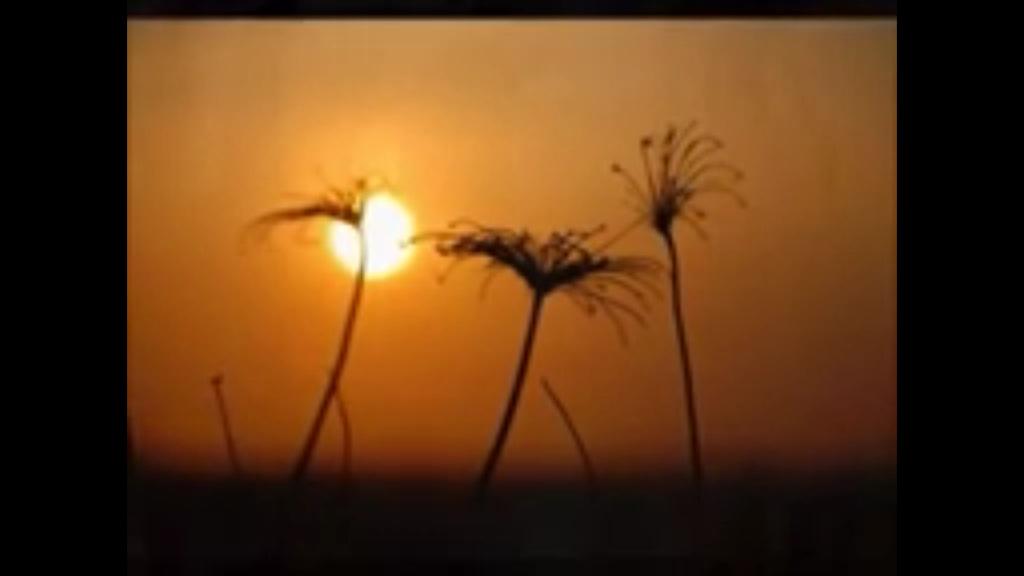 Bayaraa Doctor (@doctorb0107) on Twitter photo 