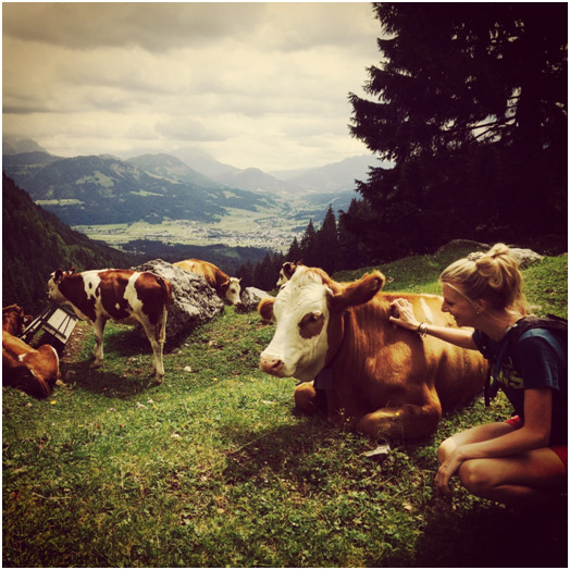 Heading out to the #mountains? Check out Hannah's guide to make the most of the climb! buff.ly/1GL318U