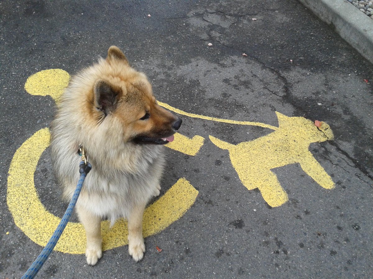 Jackie Gay tweet media