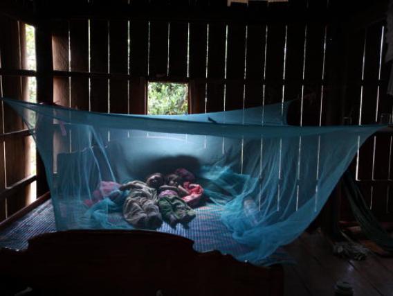 Sky News Australia tweet media