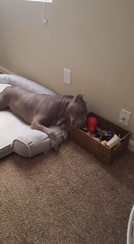 Meredith Hoy tweet media