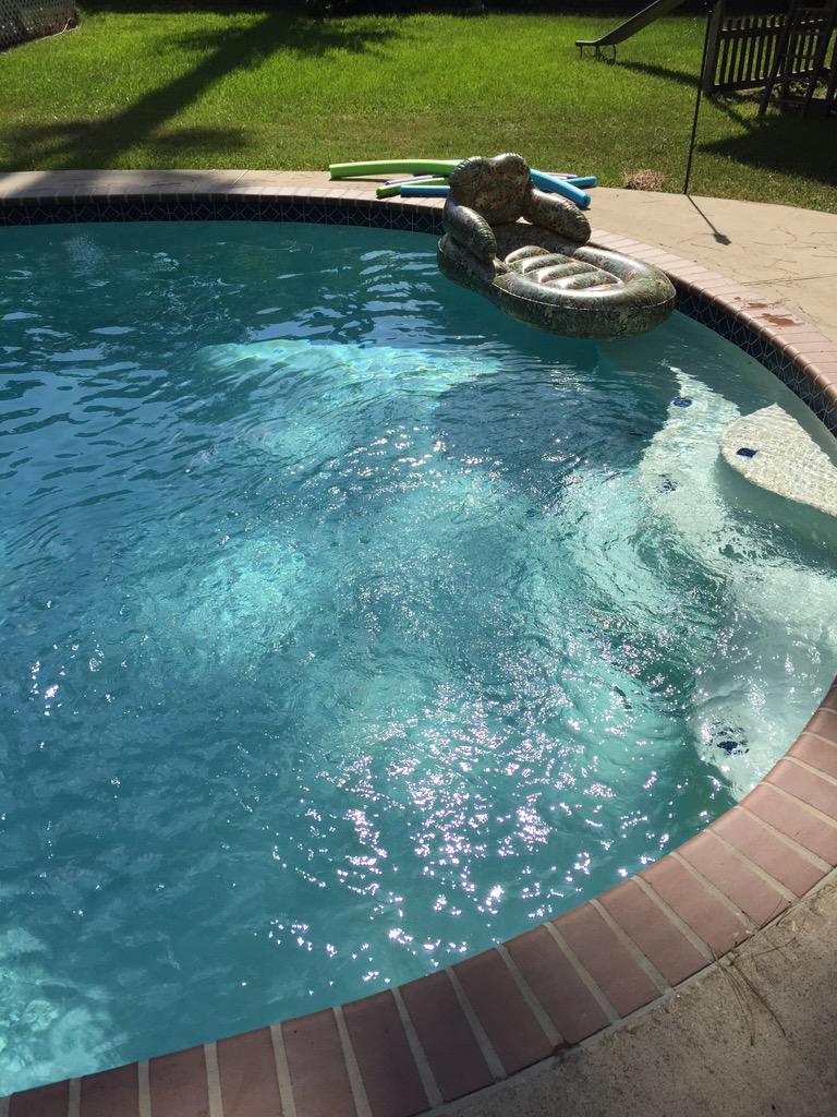 Thanks @ebalagia and @Brant_Croucher for letting me cool off. #Fam #GoodPeople