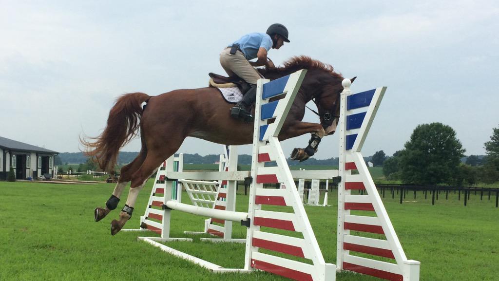 Great day schooling at home!