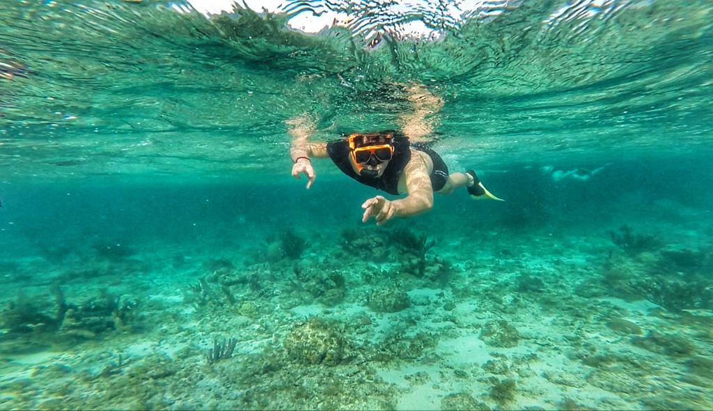 cala's tweet photo. Recordando un inolvidable snorkeling en los arrecifes de #Roatan #Honduras "Deep Soul Challenge" te espera Mayo 2016 http://t.co/W5FC8pHMxu