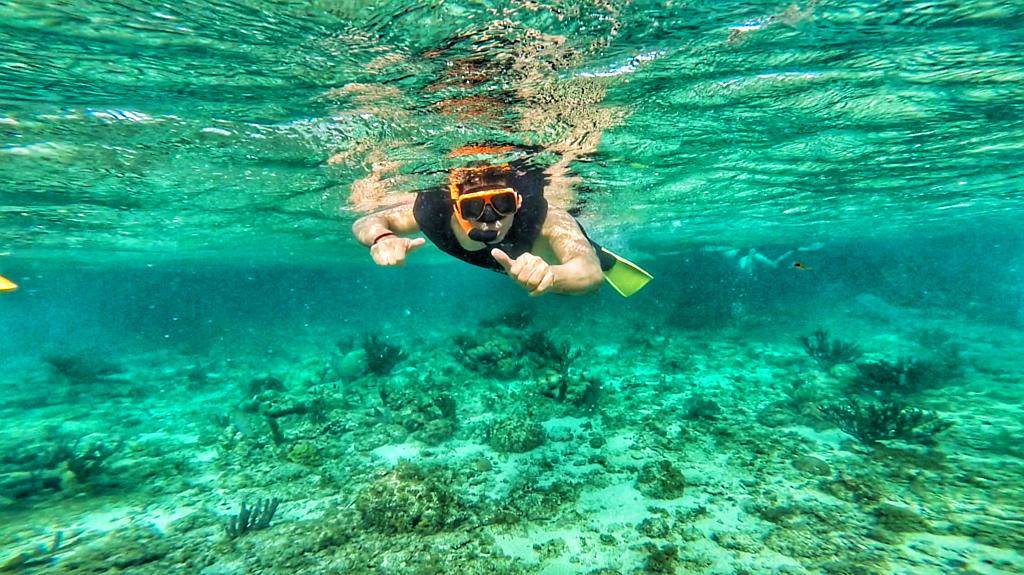 cala's tweet photo. Recordando un inolvidable snorkeling en los arrecifes de #Roatan #Honduras "Deep Soul Challenge" te espera Mayo 2016 http://t.co/W5FC8pHMxu