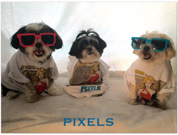 BenzoDogs's tweet image. I bet Benson dogs are as excited as I am for Pixels!!! 😁❤️ @AshBenzo @shannonbenson