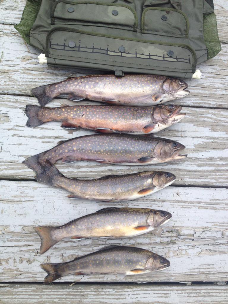 rendermaine's tweet image. 