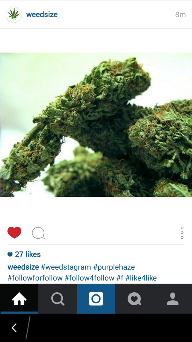 SCOFICIALPAGE's tweet photo. #Instagram #WEED #NUGGETS @weedsize #KUSH #NUGGETS #bud #HAZE http://t.co/ZL2kJ7rEmd