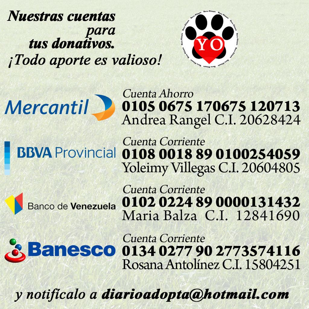 diarioadopta tweet picture