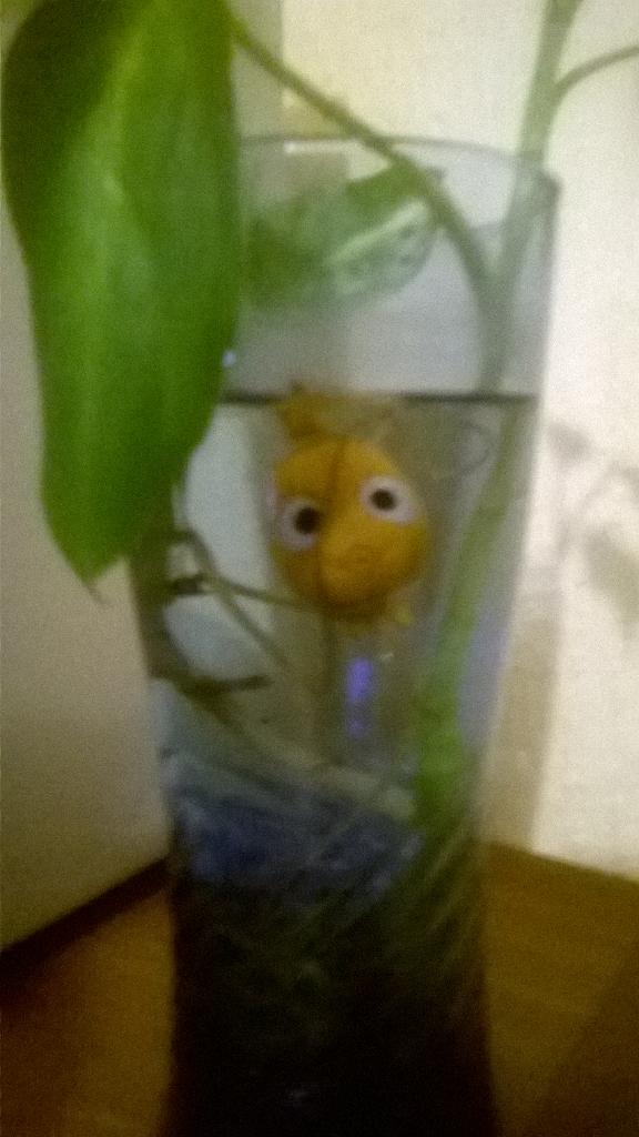 #compartimoslaemocion vamos chivas