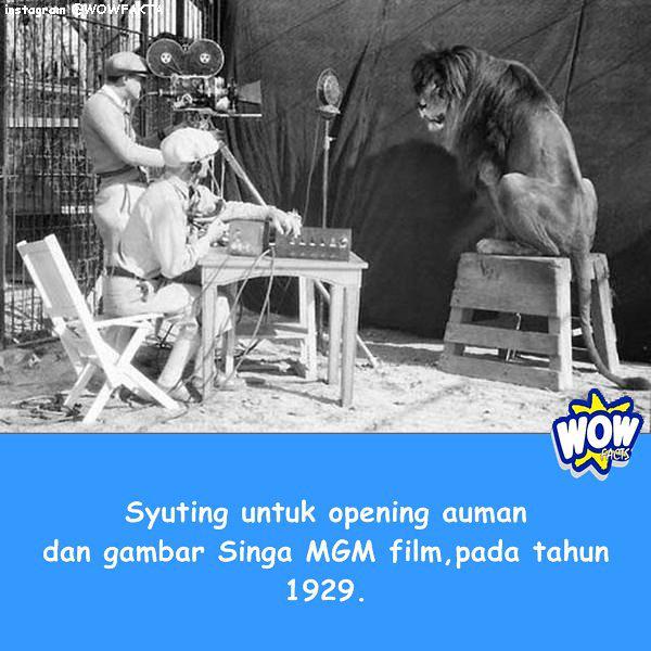 kontenwow's tweet photo. Faktagram hari ini adalah #tahukahkamu #tahukahanda #wowfakta #fakta #faktanya #wow via @WOWFAKTA_IG http://t.co/4NY4090wbE