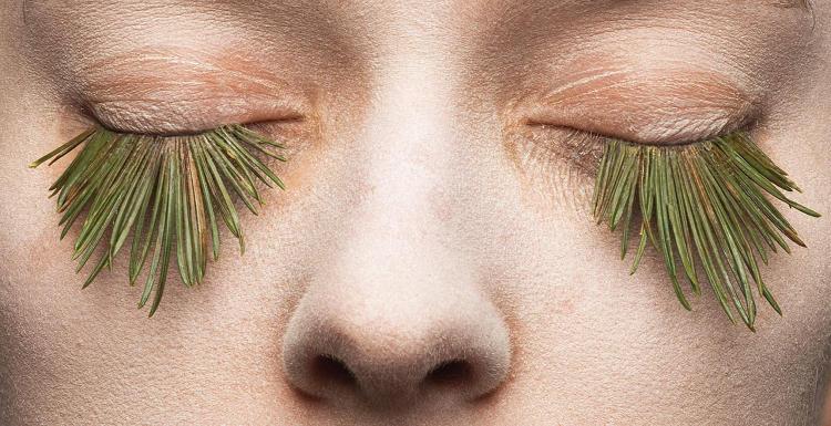 FastCoDesign's tweet photo. Would you wear pine needles as eyelashes if you knew they were all natural? http://t.co/mXOzpw0zwm http://t.co/OTiyV2abbT