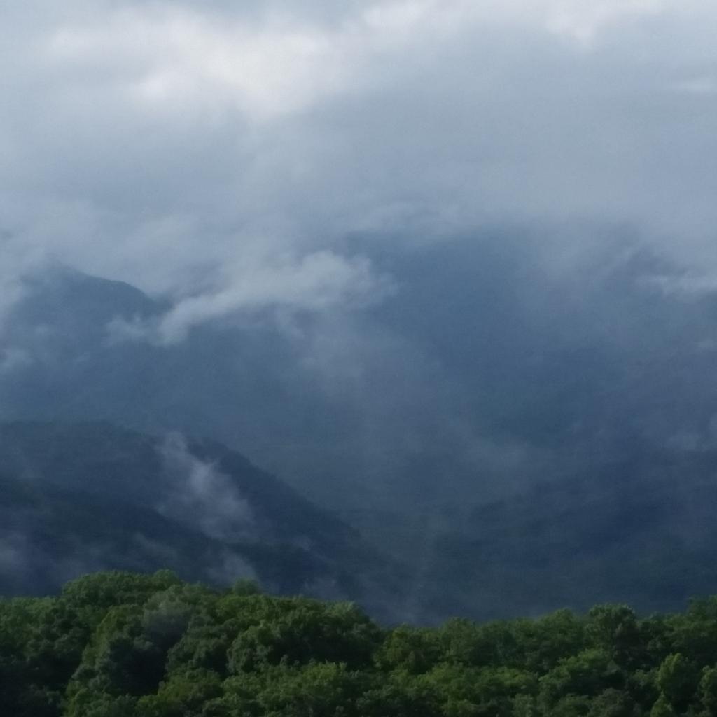 Fireslightfdn's tweet photo. View from my cabin. http://t.co/pYraaZ783z